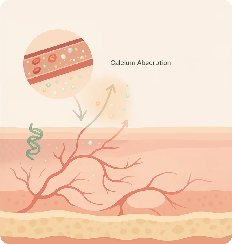 The Science Behind Bone Development